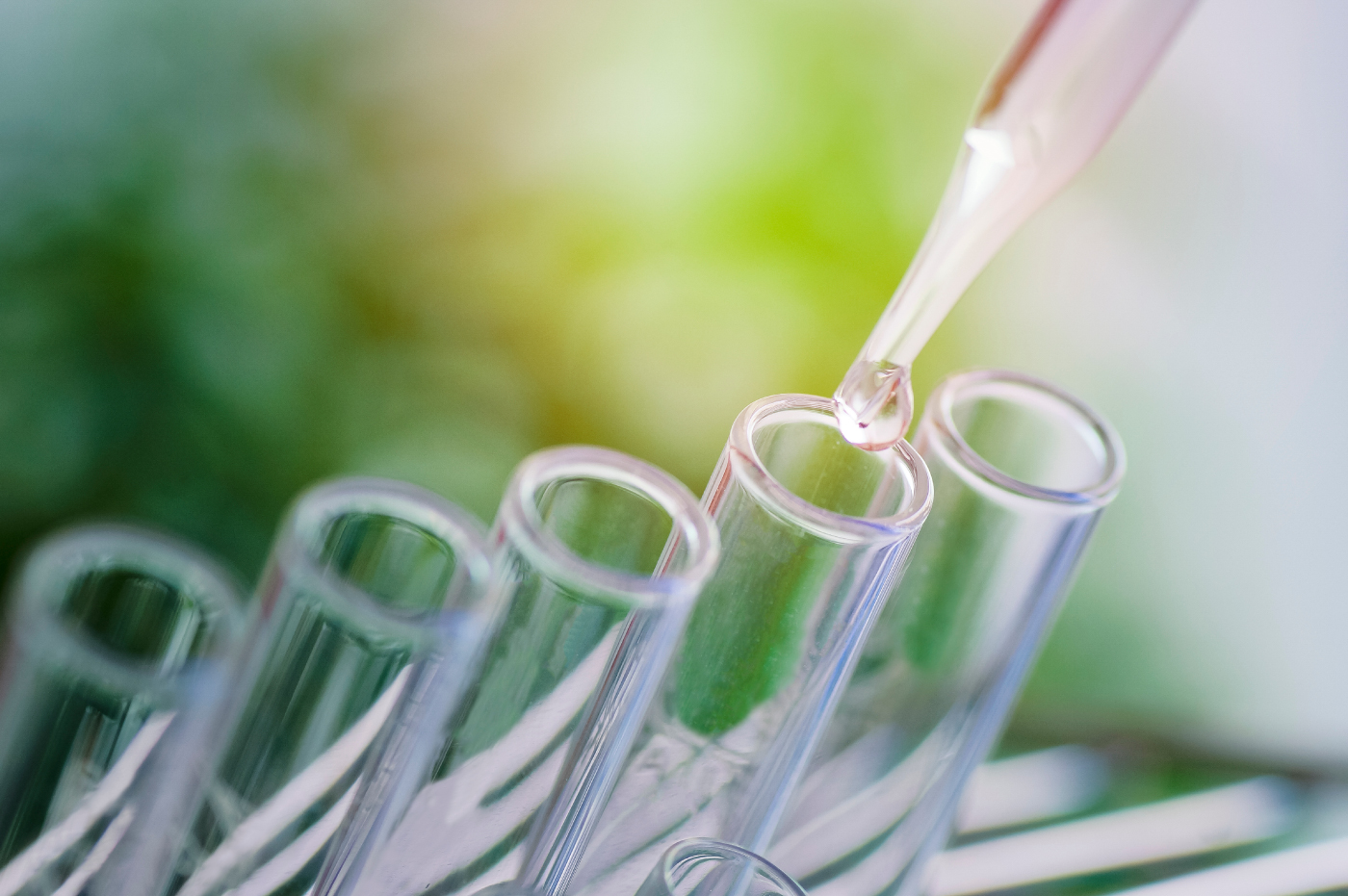 Life Sciences, Executive Search